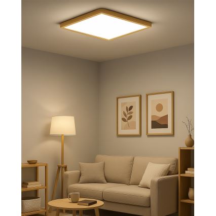LED Stropní svítidlo LED/40W/230V 3000/4000/6500K 50x50 cm béžová